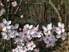 210302_4813dxo