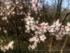 210302_4815dxo