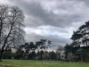 210304_4817dxo