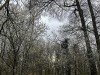 210304_4818dxo