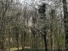 210304_4819dxo