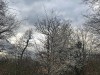 210304_4821dxo
