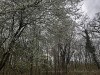 210304_4825dxo
