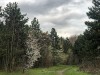 210304_4828dxo