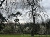 210304_4830dxo
