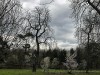 210304_4840dxo