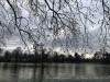 210305_4858dxo