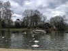 210305_4860dxo