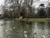 210305_4865dxo