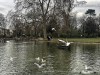 210305_4869dxo