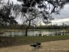 210305_4872dxo
