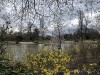 210305_4874dxo