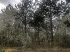 210311_4909dxo