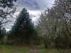 210311_4911dxo