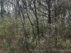 210311_4913dxo