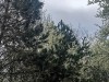 210311_4920dxo