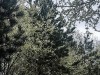 210311_4921dxo