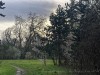 210312_4929adxo