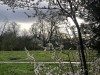 210312_4930adxo