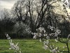 210312_4933dxo