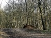 210315_4939dxo