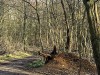 210315_4943dxo