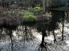 210315_4950dxo