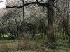 210316_4962dxo