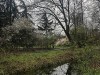 210316_4964dxo