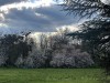 210319_4971dxo