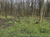 210326_5001dxo