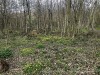 210326_5002dxo