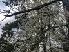 210327_5003dxo