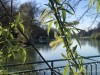 210329_5015dxo
