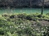 210329_5021dxo