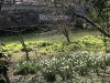 210329_5023dxo