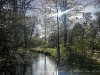 210403_5079dxo