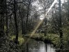 210403_5083dxo