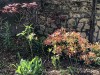 210406_5103dxo