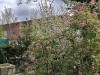 210406_5106dxo