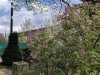210406_5107dxo