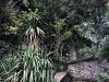 210406_5111dxo