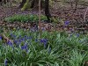 210405_5085dxo