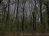 210405_5087dxo