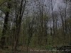 210405_5089dxo