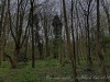 210405_5093dxo