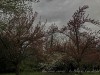 210405_5094dxo