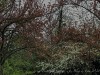 210405_5095dxo