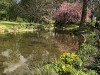 210412_5123dxo1