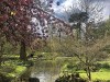 210412_5127dxo1